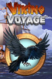 Viking Voyage